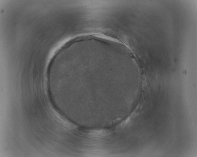 X0000076450342200610202340