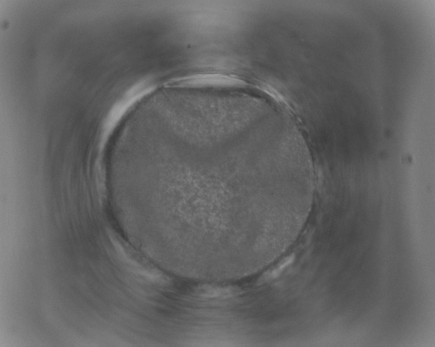 X0000076450343200610202340