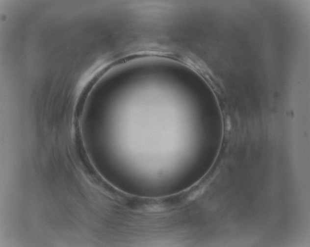 X0000076450344200610202340