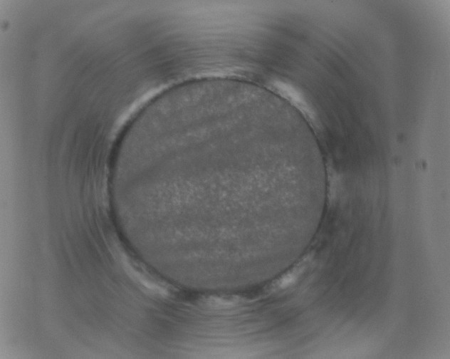 X0000076450346200610202340