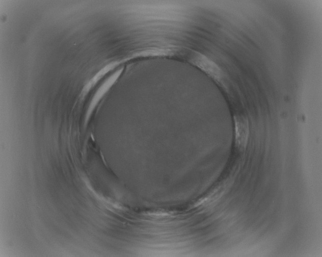 X0000076450348200610202340