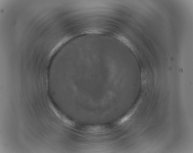 X0000076450349200610202340