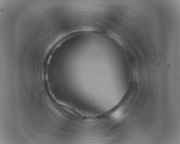 X0000076450350200610202340