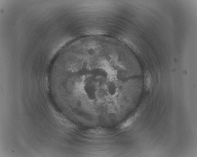 X0000076450351200610202340