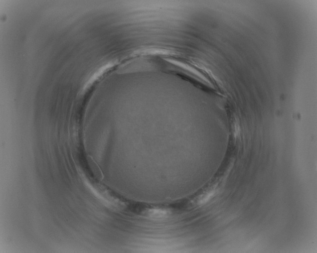 X0000076450352200610202340