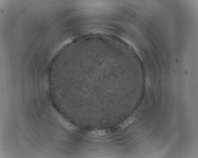 X0000076450353200610202340