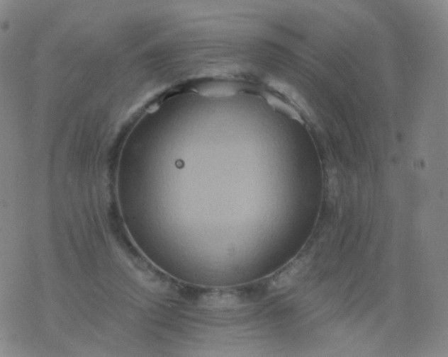 X0000076450354200610202340