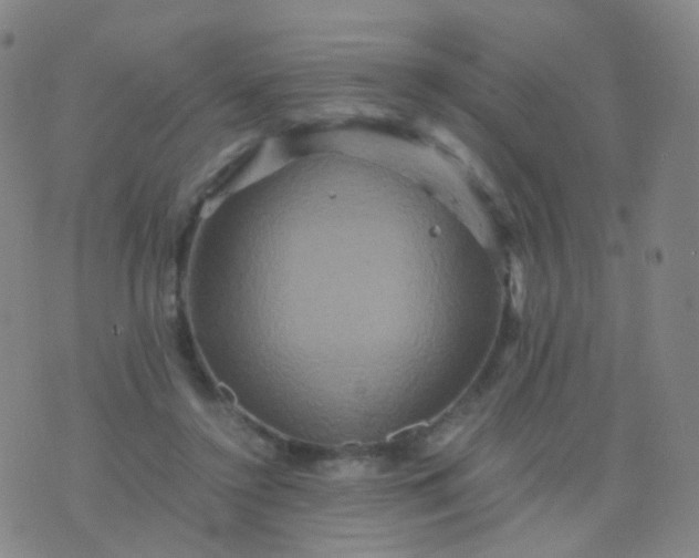 X0000076450356200610202340