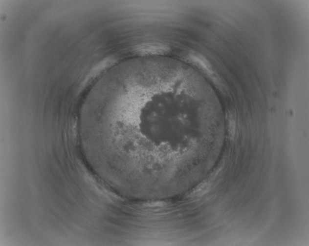 X0000076450357200610202340