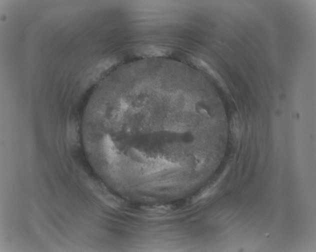 X0000076450359200610202340