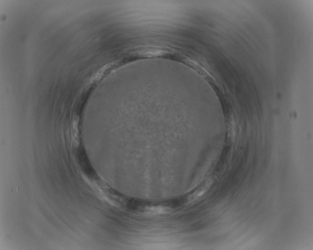 X0000076450360200610202340