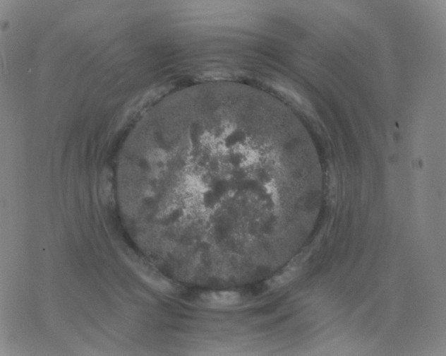 X0000076450361200610202340