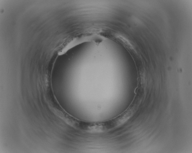 X0000076450362200610202340