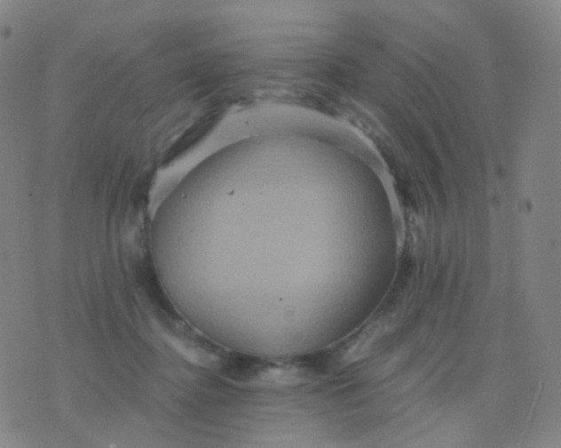 X0000076450364200610202340