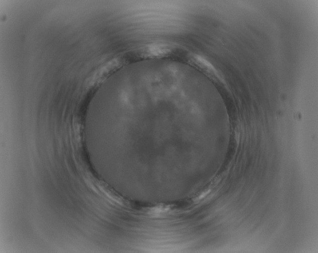 X0000076450366200610202341