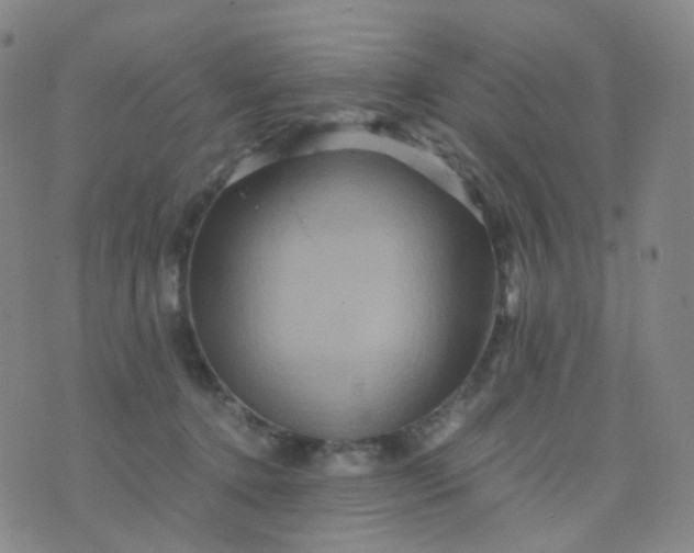 X0000076450368200610202341