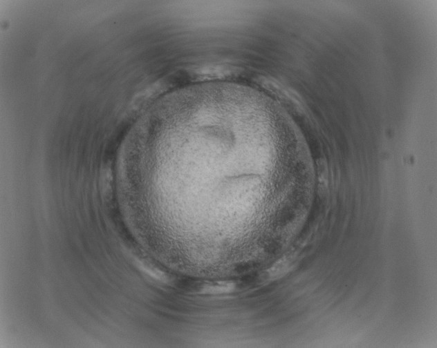 X0000076450369200610202341