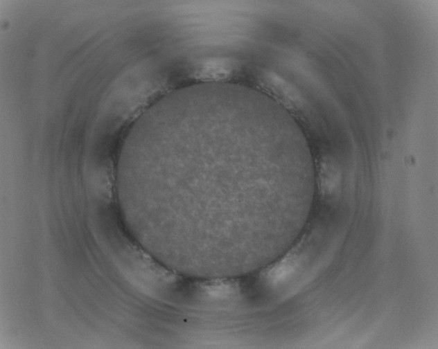 X0000076450370200610202341