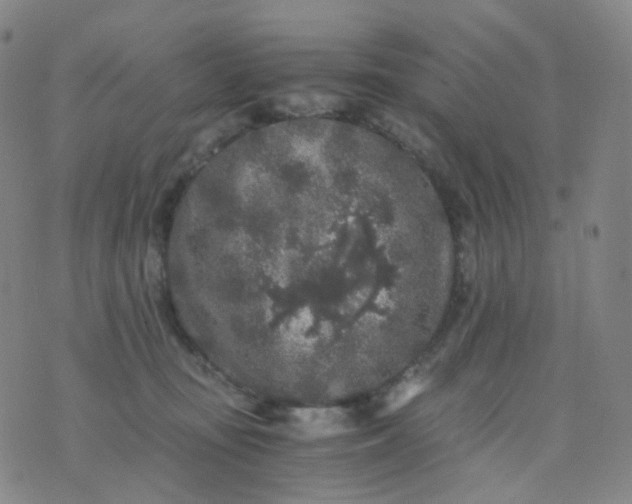 X0000076450371200610202341