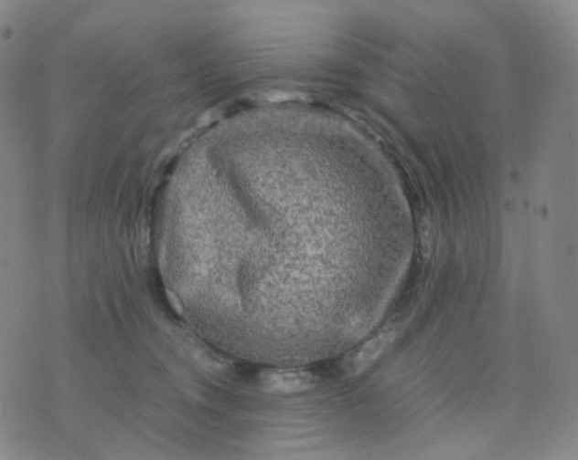 X0000076450372200610202341