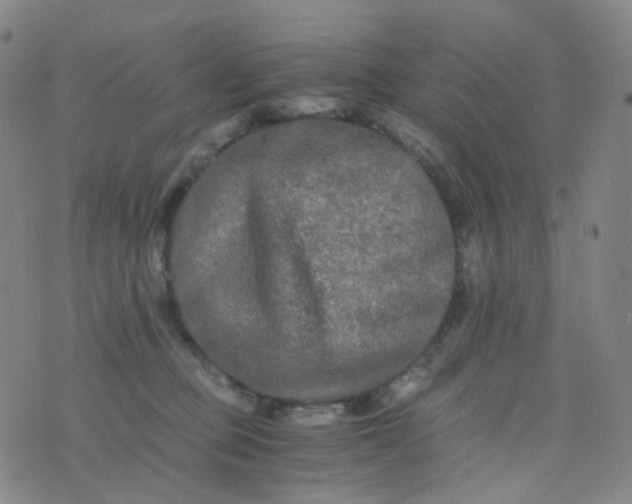 X0000076450373200610202341