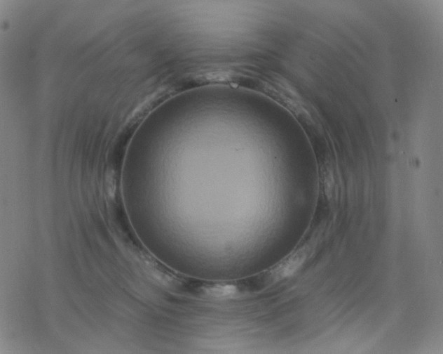 X0000076450374200610202341