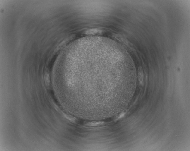 X0000076450375200610202341