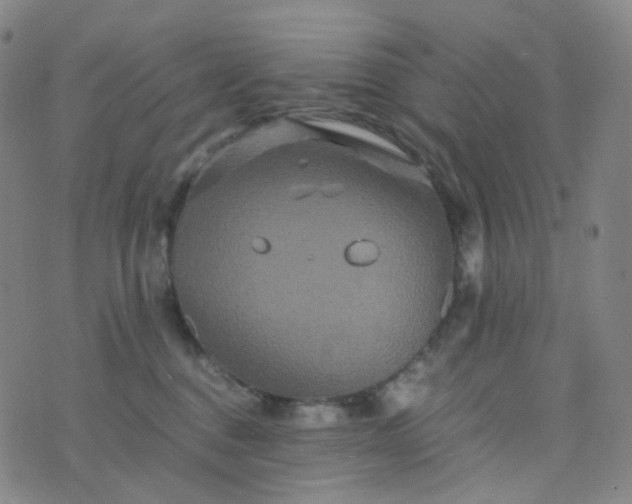 X0000076450376200610202341