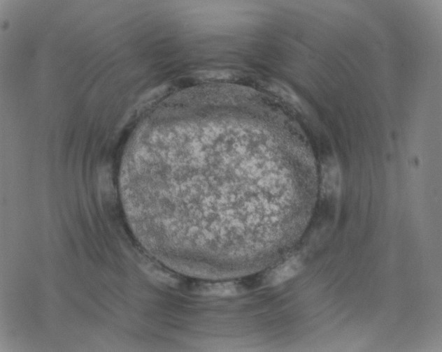 X0000076450377200610202341