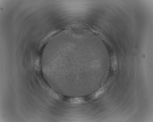 X0000076450378200610202341