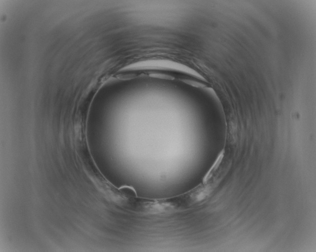 X0000076450379200610202341