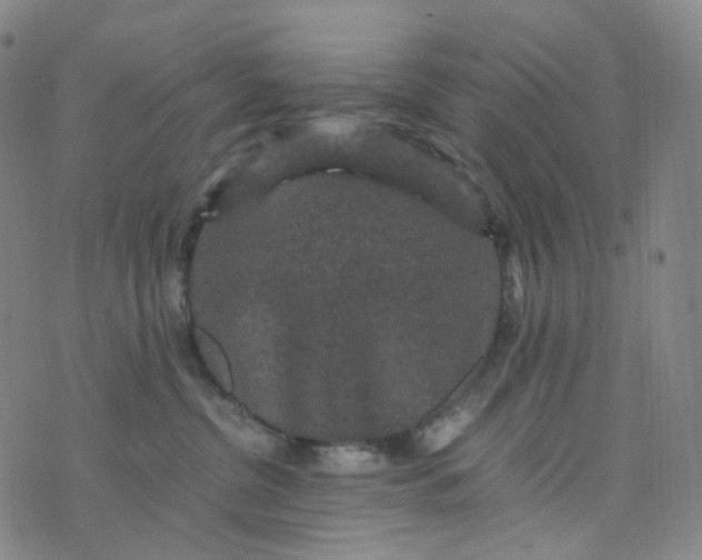 X0000076450380200610202341