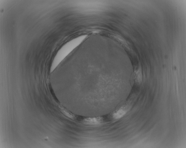 X0000076450381200610202341