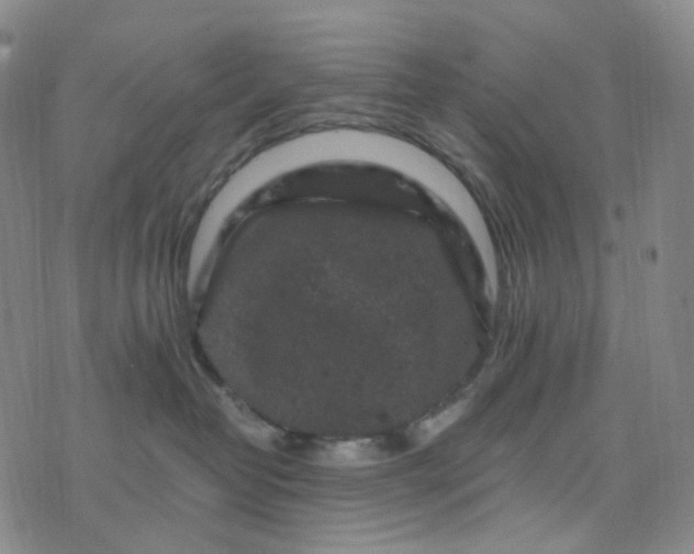 X0000076450382200610202341