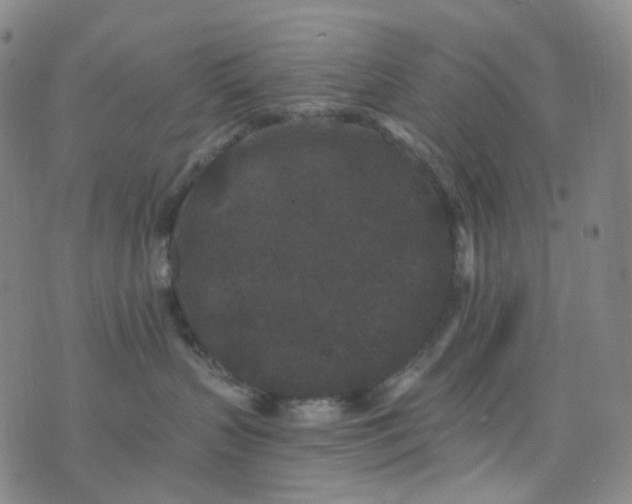 X0000076450383200610202341