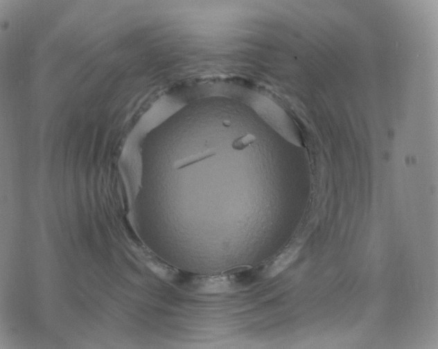 X0000076450384200610202341