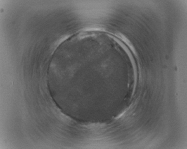 X0000076450385200610202340