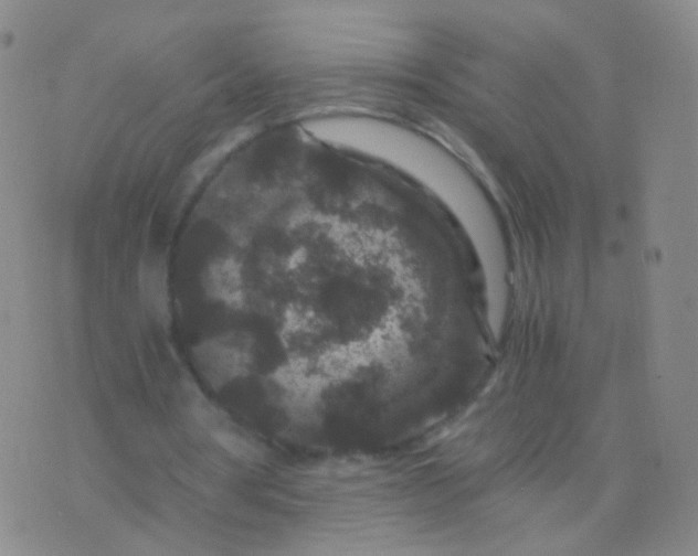 X0000076450386200610202340