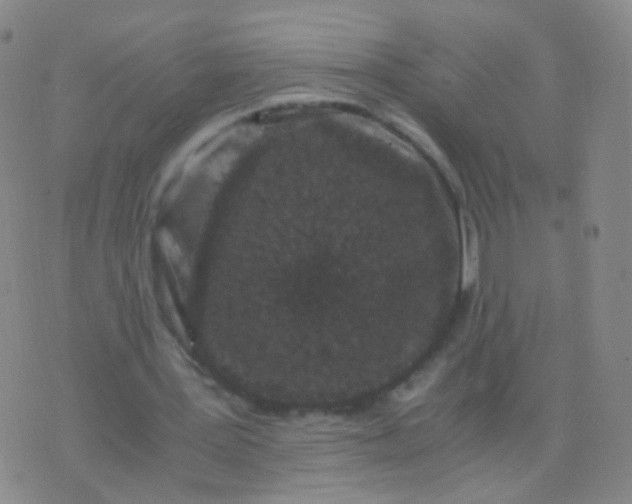 X0000076450387200610202340