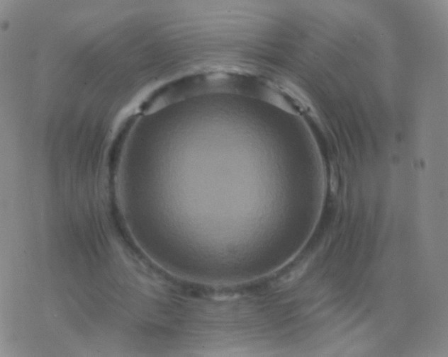 X0000076450388200610202340