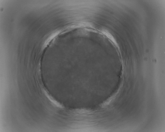 X0000076450389200610202340