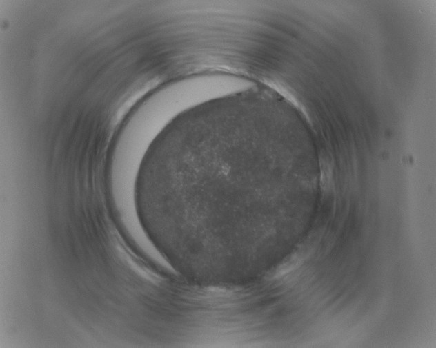 X0000076450390200610202340