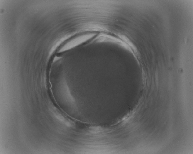 X0000076450391200610202340