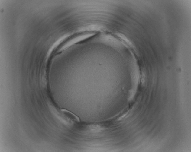 X0000076450392200610202340