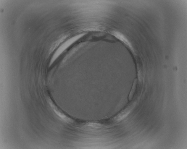 X0000076450393200610202340