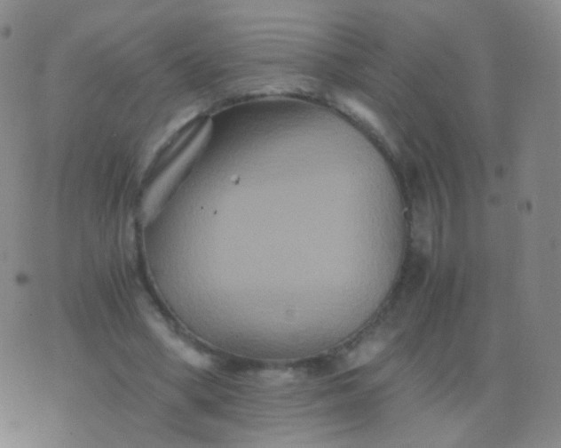 X0000076450394200610202340