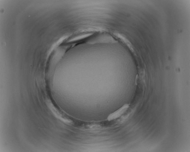 X0000076450395200610202340