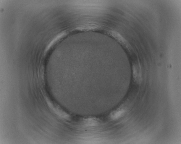 X0000076450396200610202340