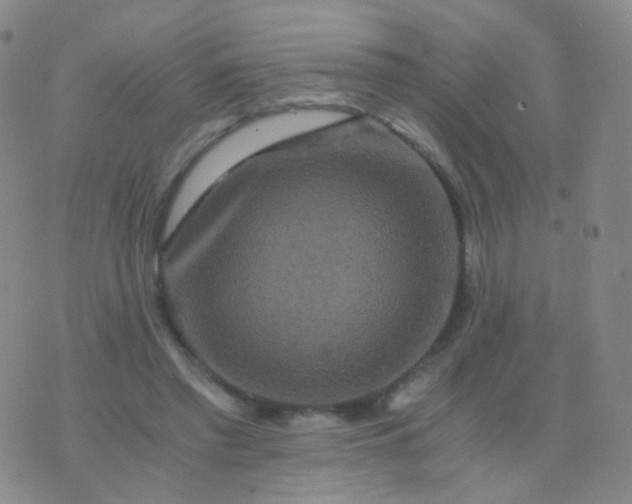 X0000076450397200610202340