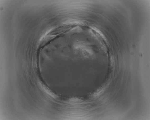 X0000076450399200610202340